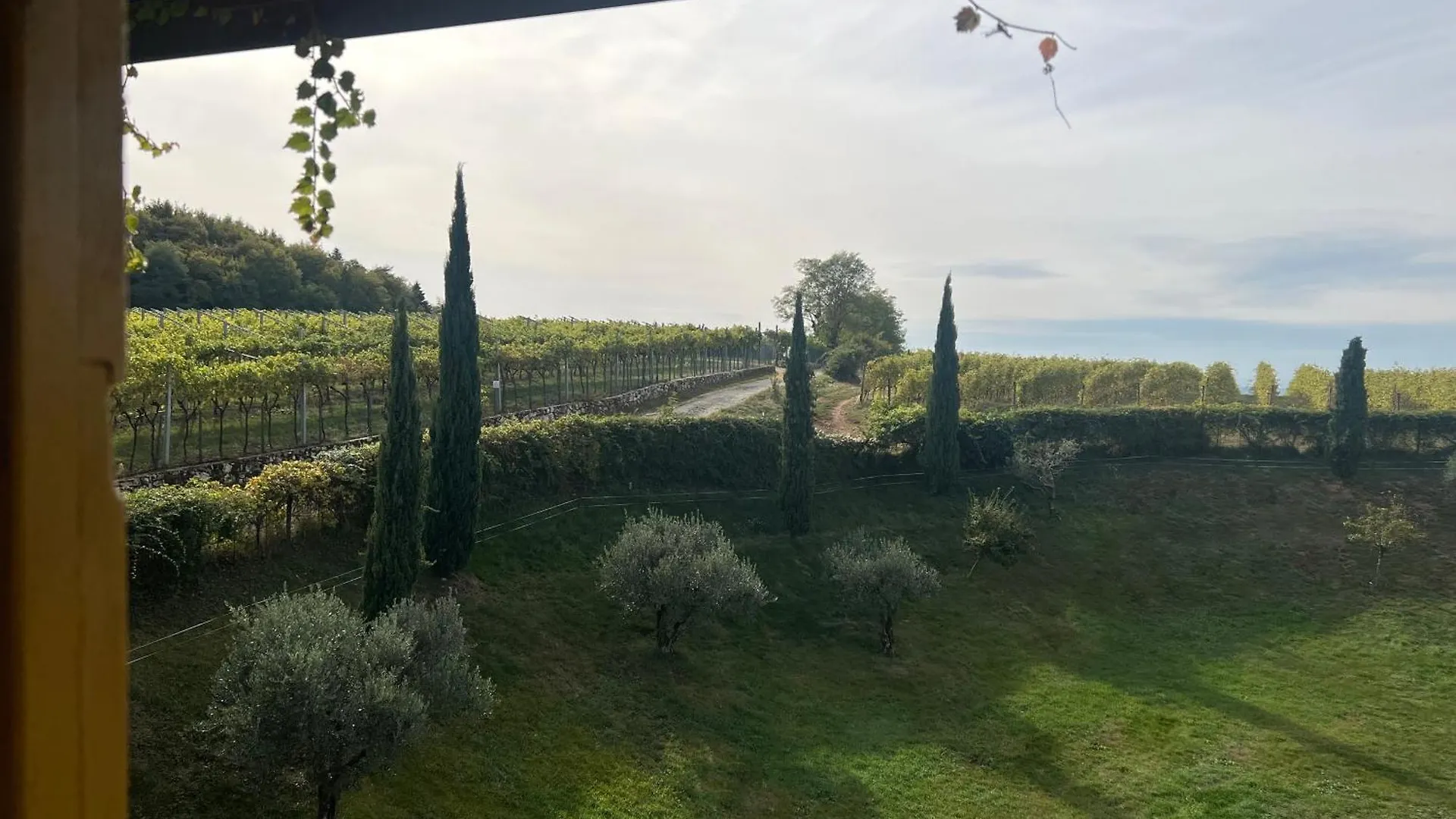 펜션 Ca' Del Buso Cottage Montecchio